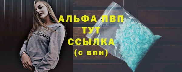 молекула духа Богородицк