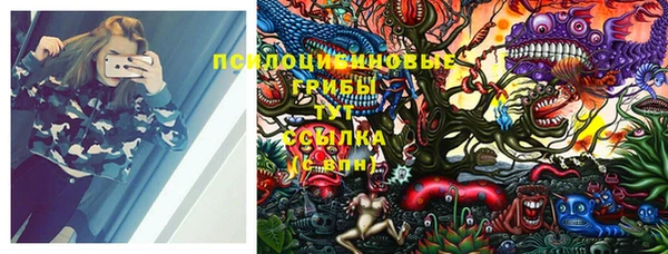прущие крисы Богородск