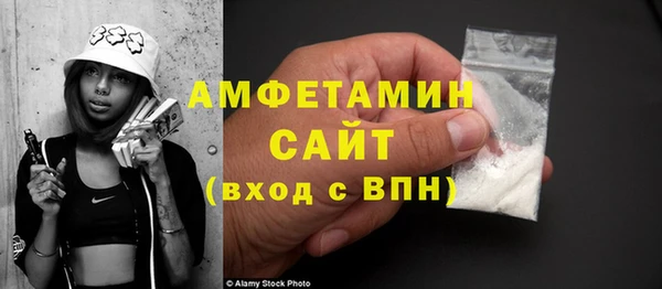 молекула духа Богородицк