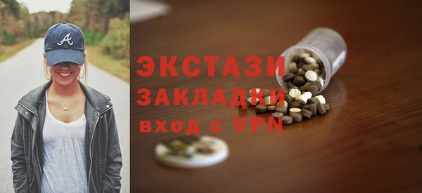 молекула духа Богородицк