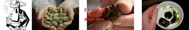молекула духа Богородицк