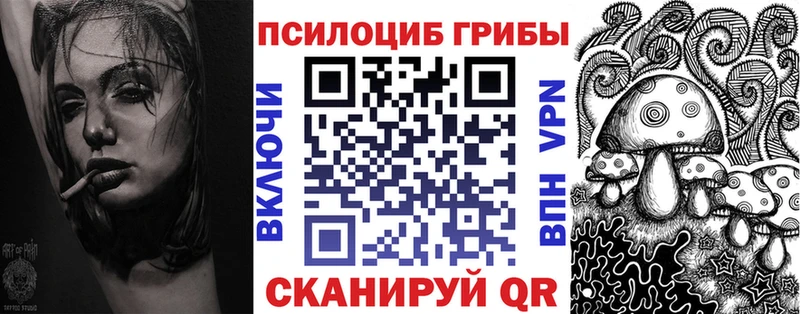 Псилоцибиновые грибы мухоморы  где продают наркотики  Воркута 